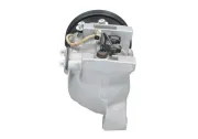 Kompressor, Klimaanlage BV PSH 090.225.050.200