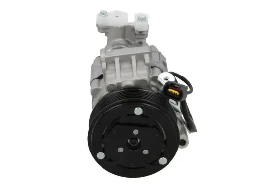 Kompressor, Klimaanlage BV PSH 090.175.011.000 Bild Kompressor, Klimaanlage BV PSH 090.175.011.000