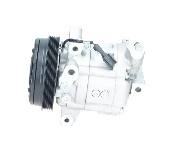 Kompressor, Klimaanlage BV PSH 090.175.013.000 Bild Kompressor, Klimaanlage BV PSH 090.175.013.000