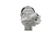 Kompressor, Klimaanlage BV PSH 090.305.010.050