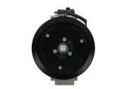 Kompressor, Klimaanlage BV PSH 090.195.033.260