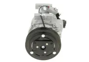 Kompressor, Klimaanlage BV PSH 090.195.045.050