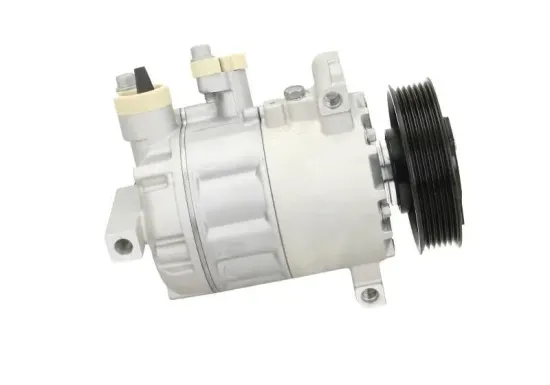 Kompressor, Klimaanlage BV PSH 090.205.009.501 Bild Kompressor, Klimaanlage BV PSH 090.205.009.501