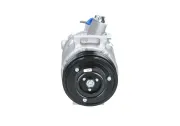 Kompressor, Klimaanlage BV PSH 090.205.009.876