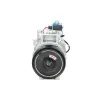 Kompressor, Klimaanlage BV PSH 090.205.018.050