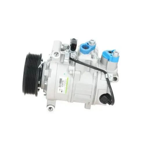 Kompressor, Klimaanlage BV PSH 090.205.018.050 Bild Kompressor, Klimaanlage BV PSH 090.205.018.050