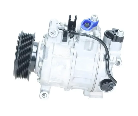 Kompressor, Klimaanlage BV PSH 090.205.031.050 Bild Kompressor, Klimaanlage BV PSH 090.205.031.050