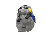 Kompressor, Klimaanlage BV PSH 090.505.019.050