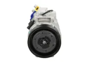 Kompressor, Klimaanlage BV PSH 090.215.009.050