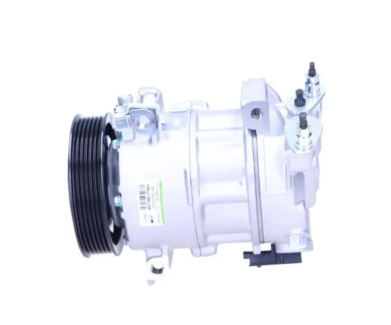 Kompressor, Klimaanlage BV PSH 090.225.001.050 Bild Kompressor, Klimaanlage BV PSH 090.225.001.050
