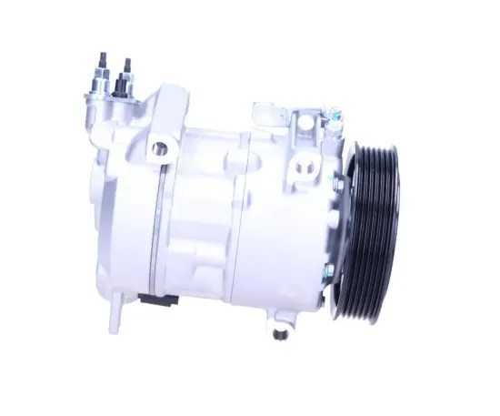 Kompressor, Klimaanlage BV PSH 090.225.001.050 Bild Kompressor, Klimaanlage BV PSH 090.225.001.050