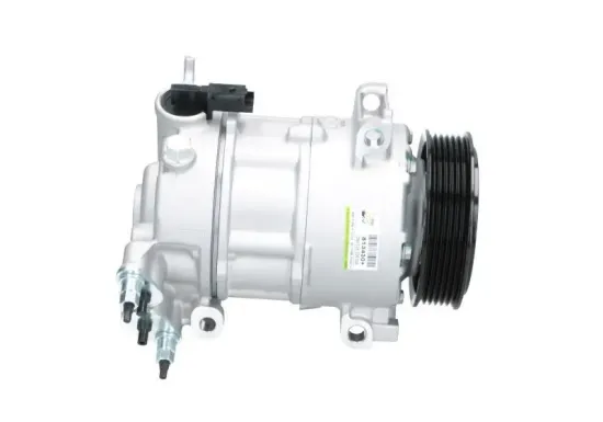 Kompressor, Klimaanlage BV PSH 090.225.003.000 Bild Kompressor, Klimaanlage BV PSH 090.225.003.000