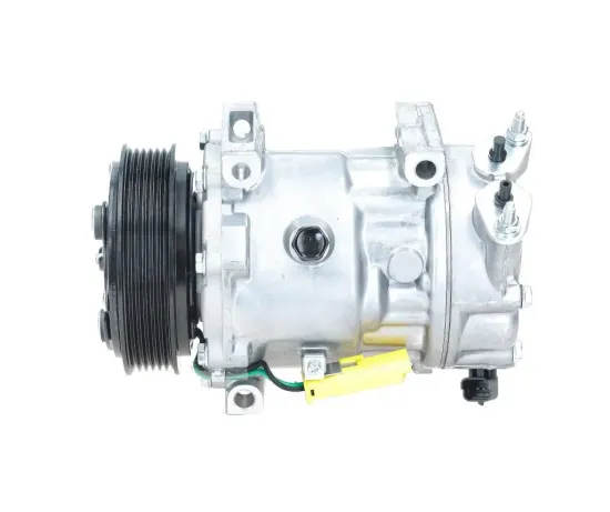 Kompressor, Klimaanlage BV PSH 090.225.009.876 Bild Kompressor, Klimaanlage BV PSH 090.225.009.876