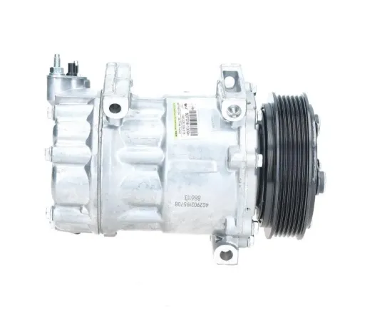 Kompressor, Klimaanlage BV PSH 090.225.009.876 Bild Kompressor, Klimaanlage BV PSH 090.225.009.876