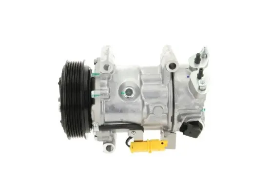 Kompressor, Klimaanlage BV PSH 090.225.011.876 Bild Kompressor, Klimaanlage BV PSH 090.225.011.876