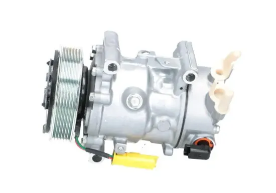 Kompressor, Klimaanlage BV PSH 090.225.011.905 Bild Kompressor, Klimaanlage BV PSH 090.225.011.905