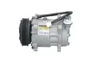 Kompressor, Klimaanlage BV PSH 090.225.016.090 Bild Kompressor, Klimaanlage BV PSH 090.225.016.090