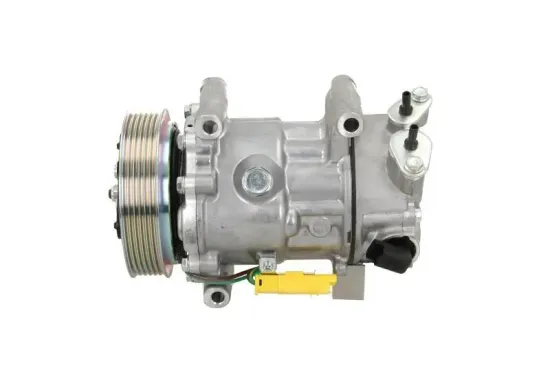 Kompressor, Klimaanlage BV PSH 090.225.025.876 Bild Kompressor, Klimaanlage BV PSH 090.225.025.876