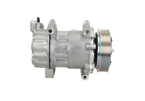 Kompressor, Klimaanlage BV PSH 090.225.025.876 Bild Kompressor, Klimaanlage BV PSH 090.225.025.876