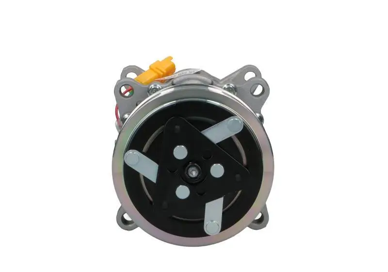 Kompressor, Klimaanlage BV PSH 090.225.032.876