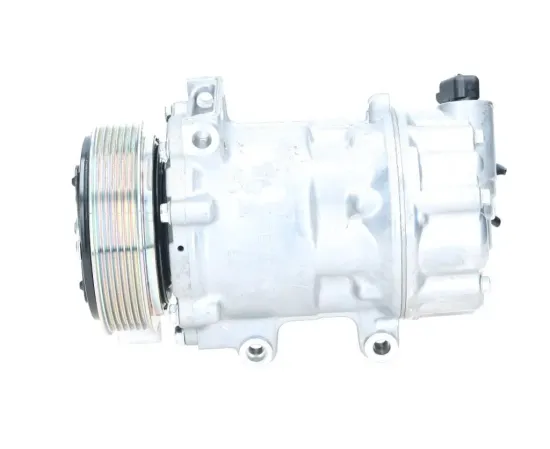 Kompressor, Klimaanlage BV PSH 090.225.035.876 Bild Kompressor, Klimaanlage BV PSH 090.225.035.876