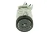 Kompressor, Klimaanlage BV PSH 090.225.046.050