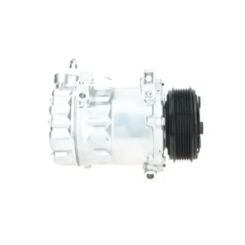 Kompressor, Klimaanlage BV PSH 090.225.051.200 Bild Kompressor, Klimaanlage BV PSH 090.225.051.200