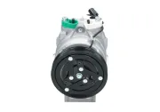 Kompressor, Klimaanlage BV PSH 090.255.019.874