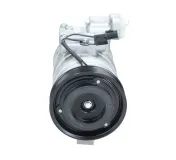 Kompressor, Klimaanlage BV PSH 090.255.083.200