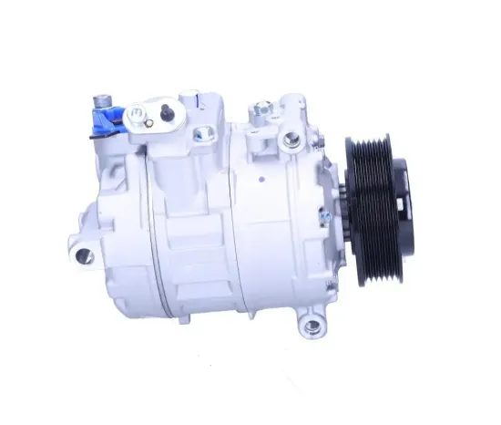 Kompressor, Klimaanlage BV PSH 090.305.011.050 Bild Kompressor, Klimaanlage BV PSH 090.305.011.050