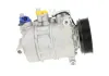 Kompressor, Klimaanlage BV PSH 090.305.021.090 Bild Kompressor, Klimaanlage BV PSH 090.305.021.090