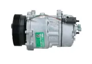 Kompressor, Klimaanlage BV PSH 090.595.009.020