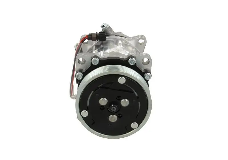 Kompressor, Klimaanlage BV PSH 090.305.061.240
