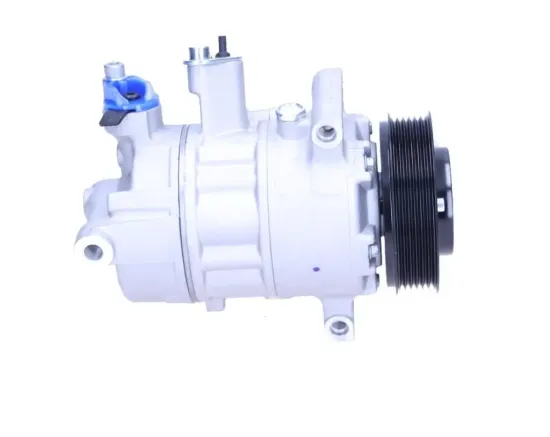 Kompressor, Klimaanlage BV PSH 090.445.002.876 Bild Kompressor, Klimaanlage BV PSH 090.445.002.876