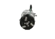 Kompressor, Klimaanlage BV PSH 090.445.004.907