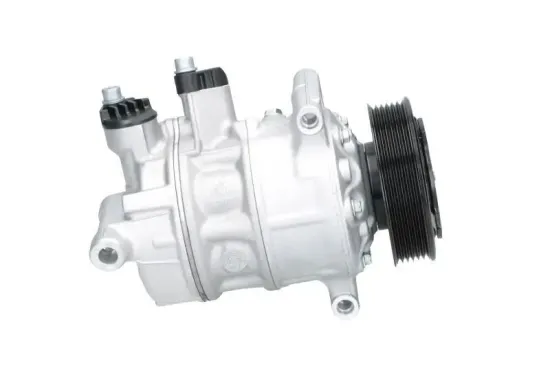 Kompressor, Klimaanlage BV PSH 090.445.006.907 Bild Kompressor, Klimaanlage BV PSH 090.445.006.907