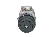 Kompressor, Klimaanlage BV PSH 090.455.035.876