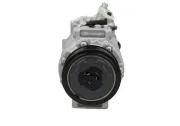 Kompressor, Klimaanlage BV PSH 090.555.012.050