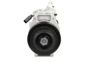 Kompressor, Klimaanlage BV PSH 090.555.020.050