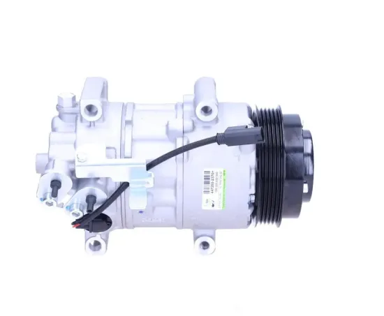 Kompressor, Klimaanlage BV PSH 090.555.035.050 Bild Kompressor, Klimaanlage BV PSH 090.555.035.050