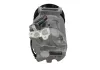 Kompressor, Klimaanlage BV PSH 090.555.121.260 Bild Kompressor, Klimaanlage BV PSH 090.555.121.260
