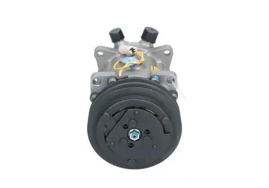 Kompressor, Klimaanlage BV PSH 095.555.003.905 Bild Kompressor, Klimaanlage BV PSH 095.555.003.905