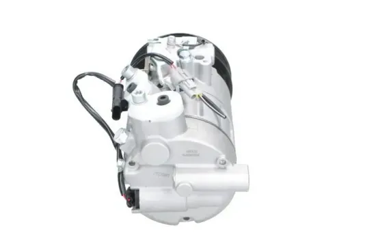 Kompressor, Klimaanlage BV PSH 090.555.134.050 Bild Kompressor, Klimaanlage BV PSH 090.555.134.050