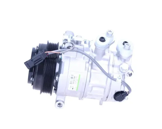 Kompressor, Klimaanlage BV PSH 090.555.167.876 Bild Kompressor, Klimaanlage BV PSH 090.555.167.876