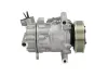 Kompressor, Klimaanlage BV PSH 090.555.176.905 Bild Kompressor, Klimaanlage BV PSH 090.555.176.905