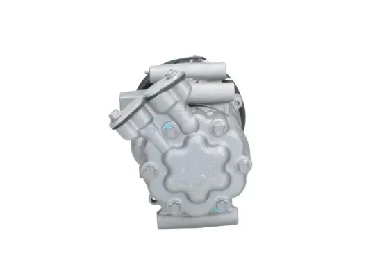 Kompressor, Klimaanlage BV PSH 090.575.017.876 Bild Kompressor, Klimaanlage BV PSH 090.575.017.876