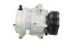 Kompressor, Klimaanlage BV PSH 090.575.020.260 Bild Kompressor, Klimaanlage BV PSH 090.575.020.260