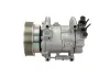 Kompressor, Klimaanlage BV PSH 090.575.052.876 Bild Kompressor, Klimaanlage BV PSH 090.575.052.876