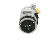 Kompressor, Klimaanlage BV PSH 090.595.015.874