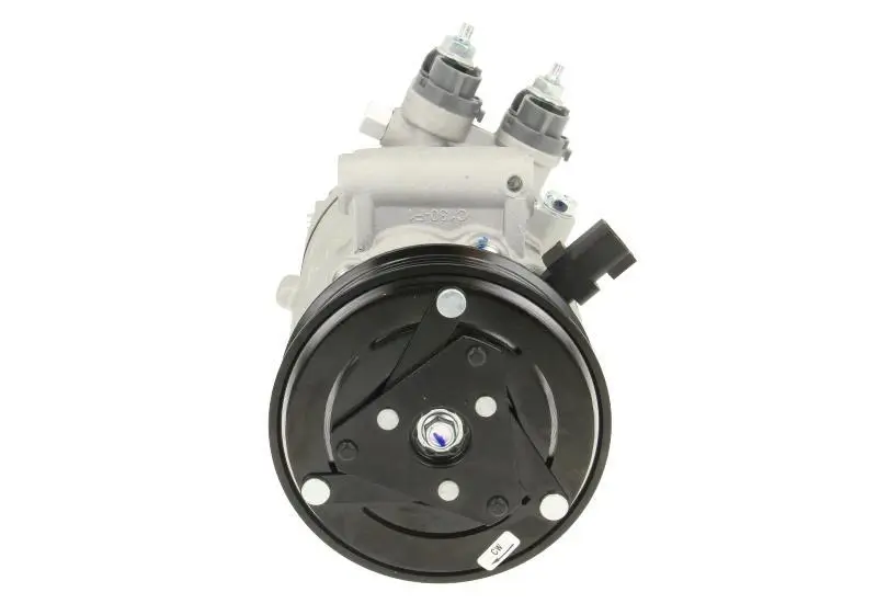 Kompressor, Klimaanlage BV PSH 090.595.024.874